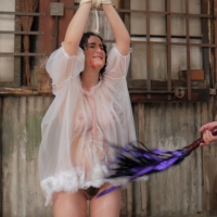 PV-lyra-lockhart-captured-006